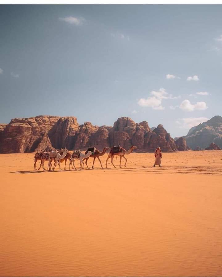 Wadi Rum Galaxy Camp Bed & Breakfast Exterior photo